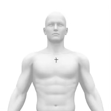 A pale 3D mannequin torso, shoulders and chest, with a small black cross drawn on the upper chest.